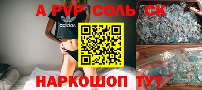 индика Камышлов