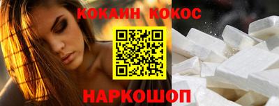 индика Камышлов