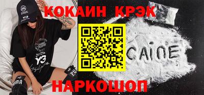индика Камышлов
