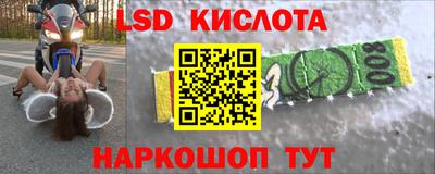 индика Камышлов