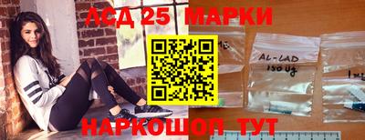 индика Камышлов