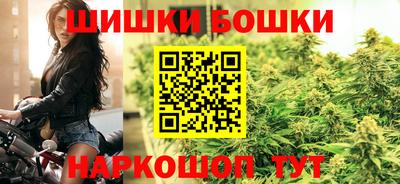 индика Камышлов