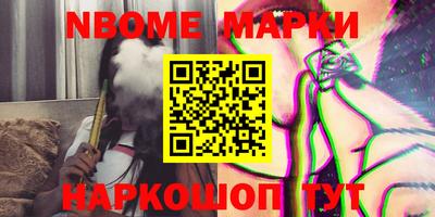 индика Камышлов