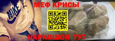 индика Камышлов