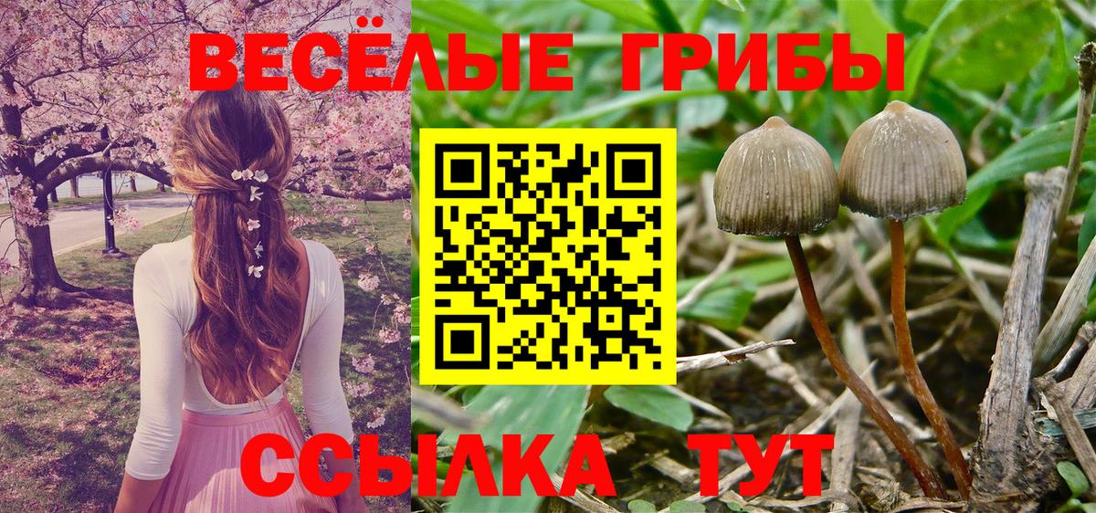 Мефедрон кристаллы  Крымск  Вход с VPN  Каннабис  ЭКСТАЗИ 
