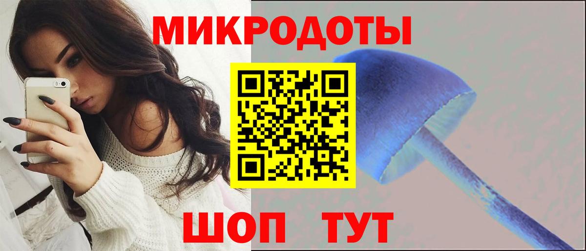 Псилоцибиновые грибы прущие грибы  Псилоцибиновые грибы мицелий  Крымск  Вход с VPN 
